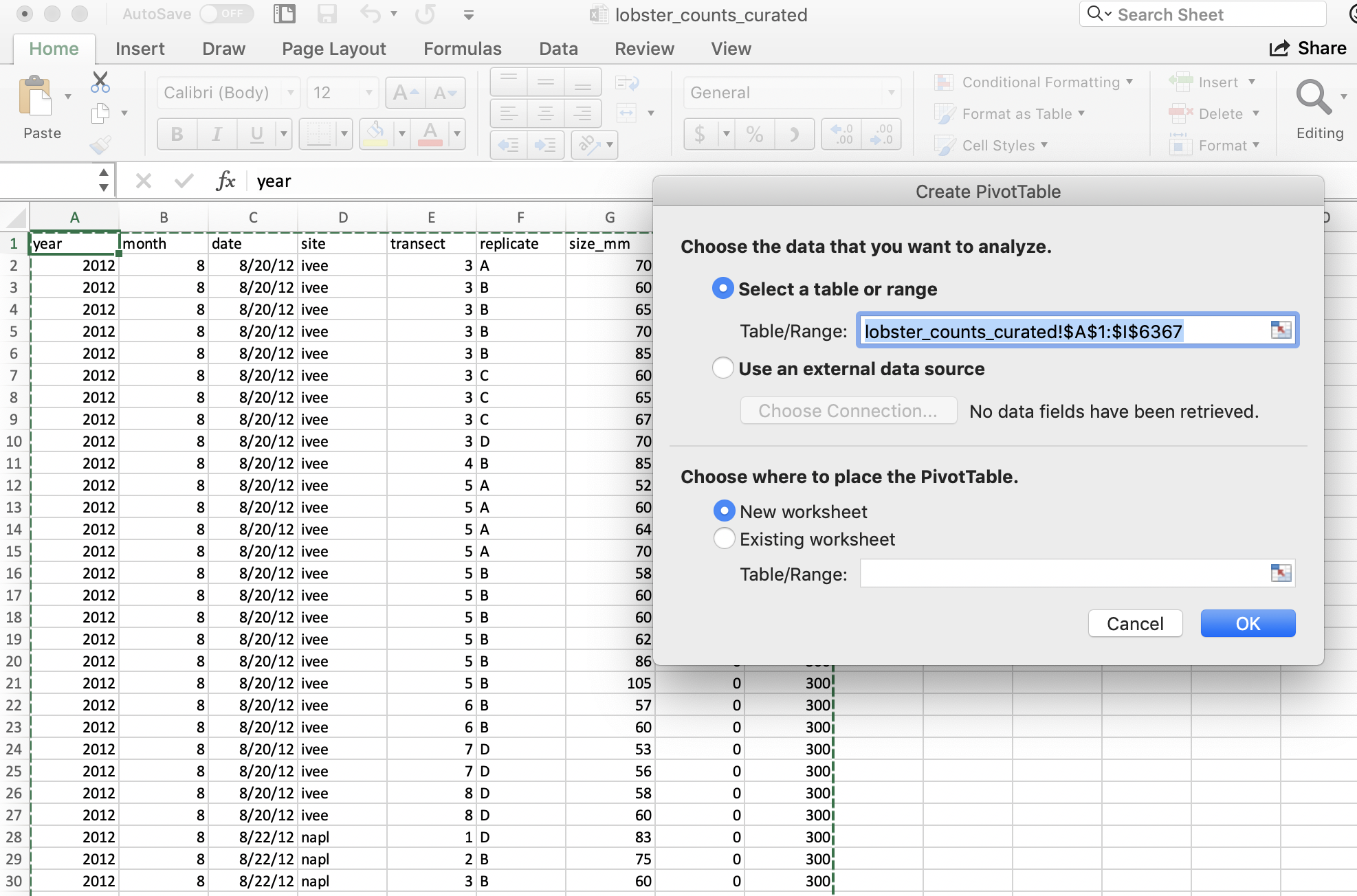 how-to-remove-bold-from-pivot-table-excel-file-in-r-brokeasshome